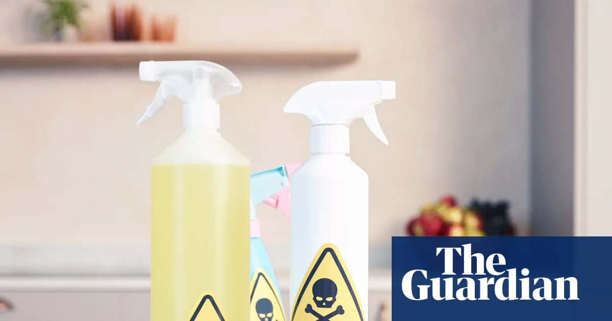 EU Toxic Chemical Ban Delayed Causing Extra Pollution