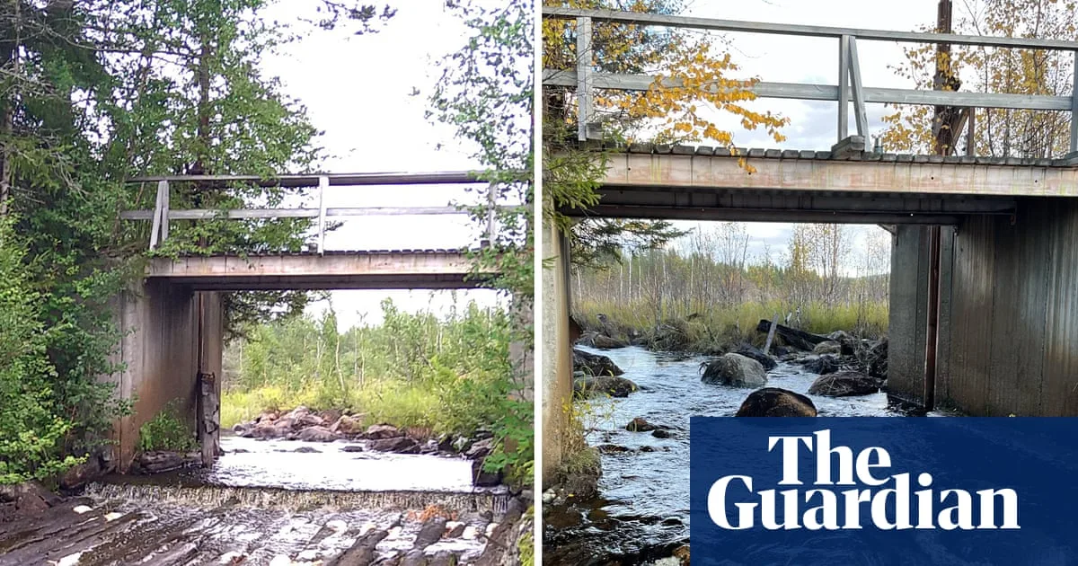 Europe Removes Record 602 River Barriers To Boost Wildlife