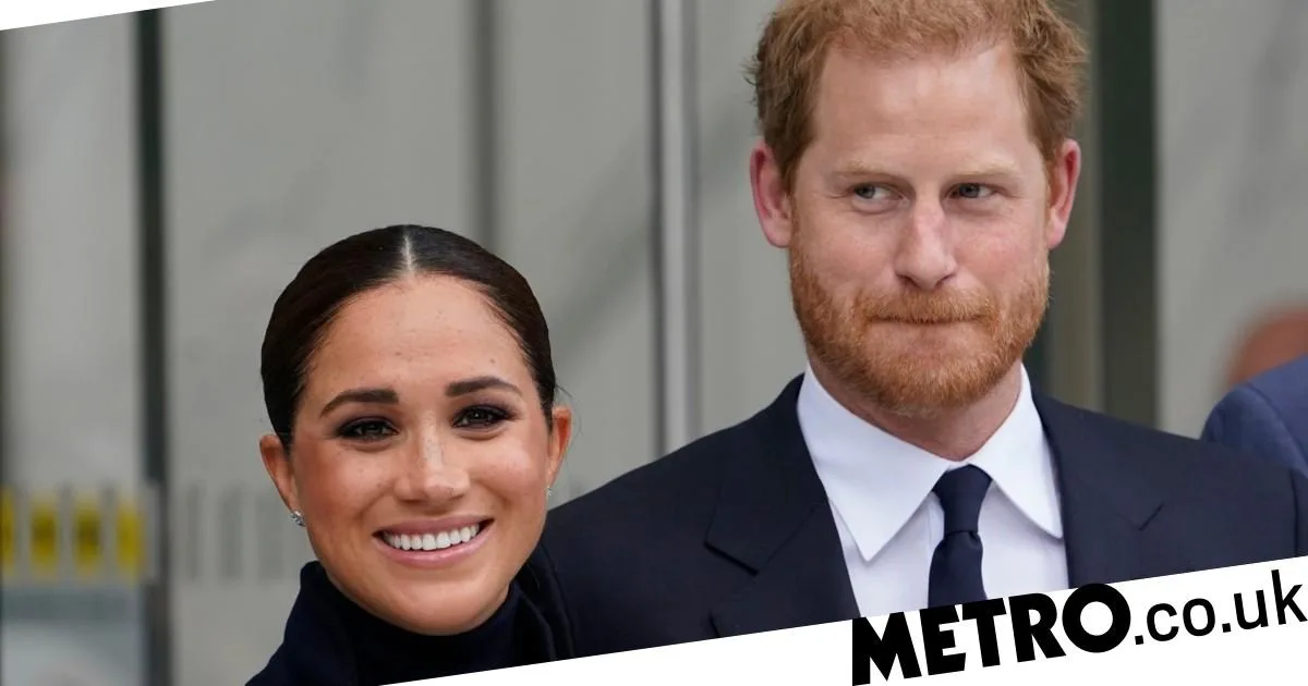 Ex-Royal Cop Says Prince Harry's Security Risk Too Low for Police Protection