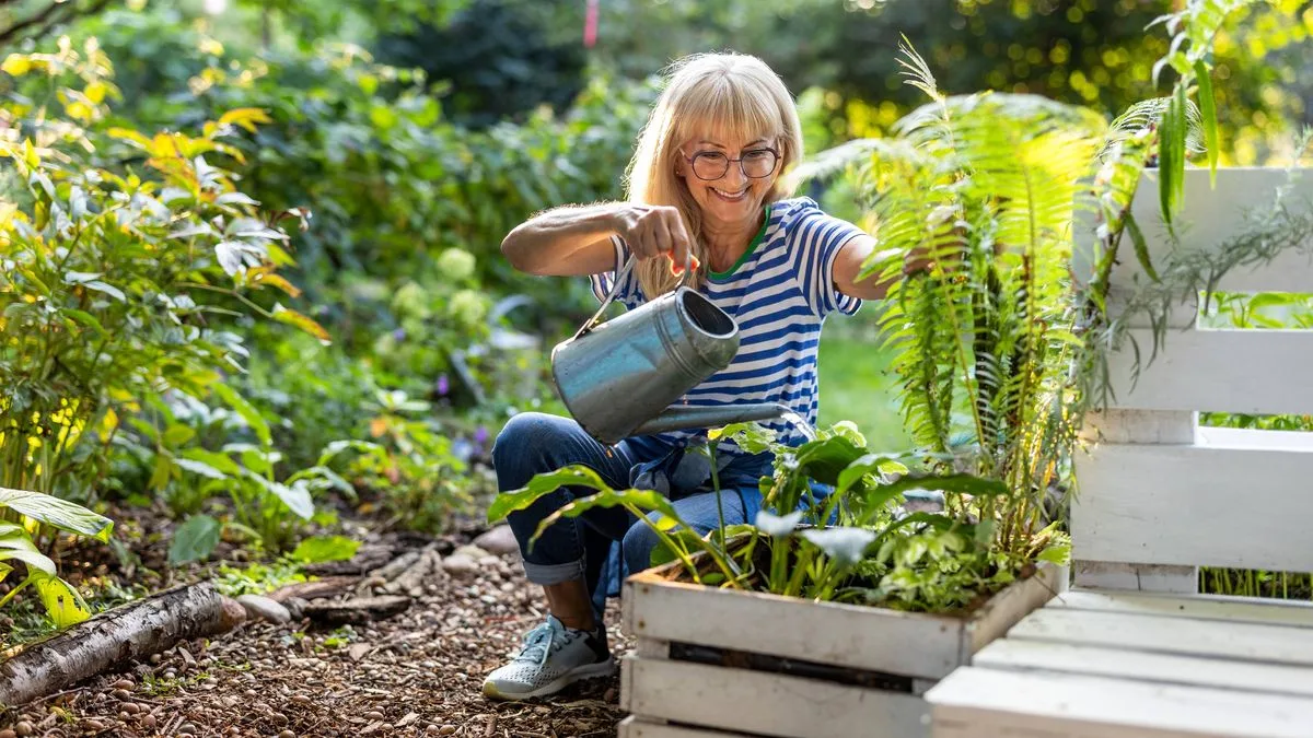 Mushroom water: the 'magic' ingredient to save plants in UK heatwave