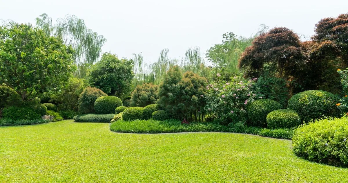 Expert Reveals 6 Key Tips for a Perfect Lawn This Summer