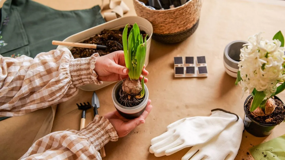 Five May Bank Holiday Gardening Jobs to Tackle This Weekend