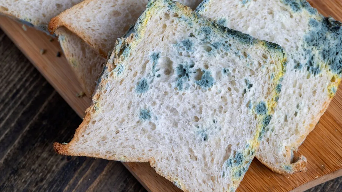 Experts Warn Against Eating Mouldy Bread: Hidden Dangers Revealed