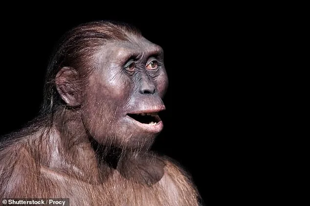 Lucy the ancient ancestor 'less intelligent than apes', study finds