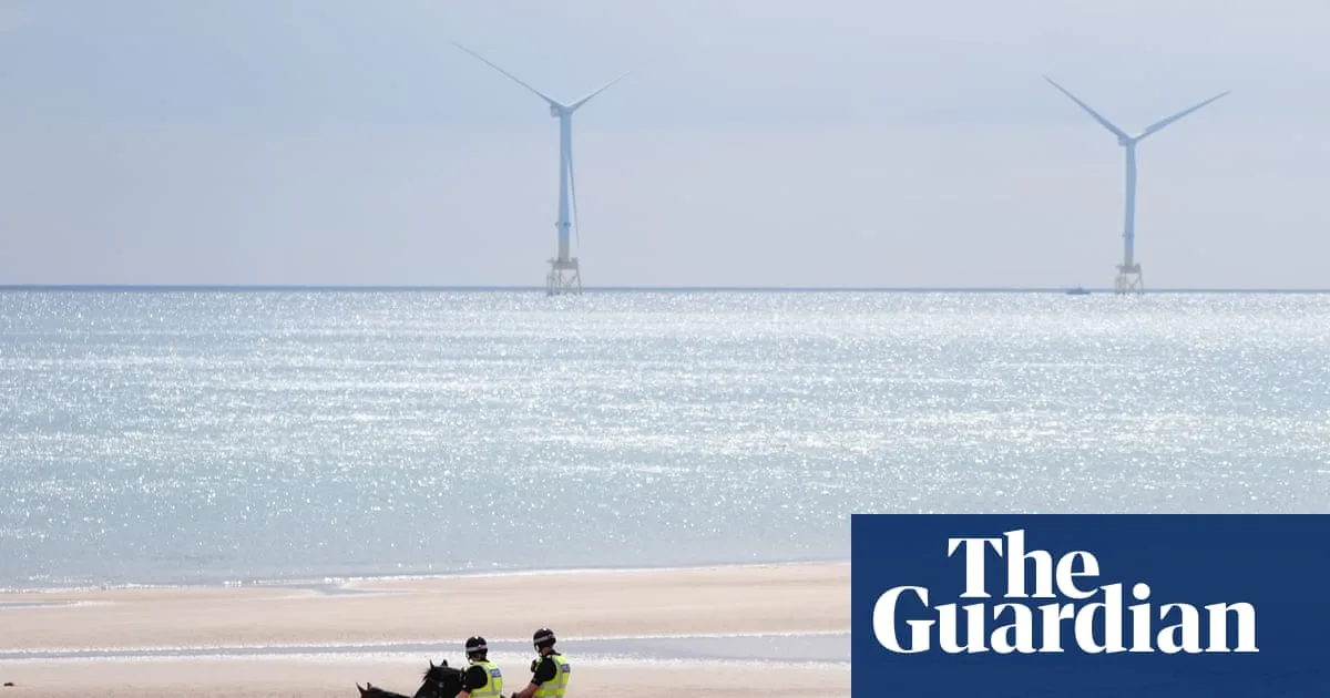 Trump's Wind Power Claims Fact-Checked: Turbines Not as Bad as He Says