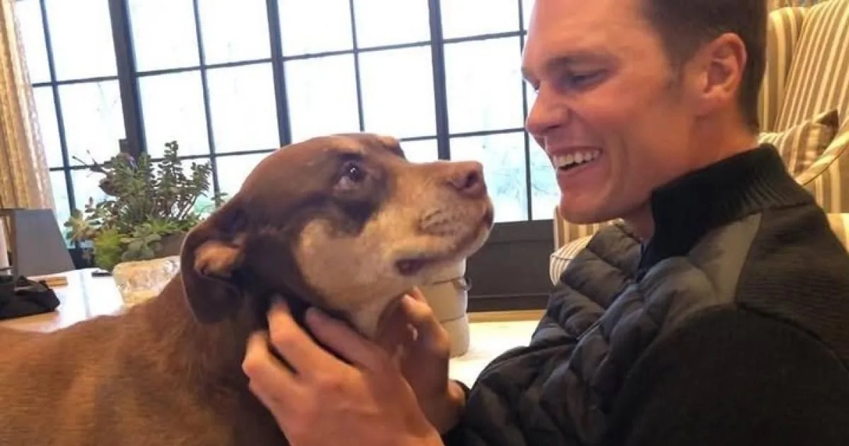 Tom Brady Reveals New Dog Is Clone of Beloved Late Pet