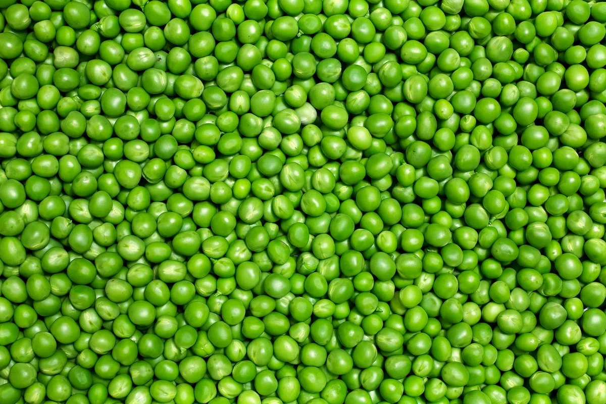 Five Reasons to Add Peas to Your Diet