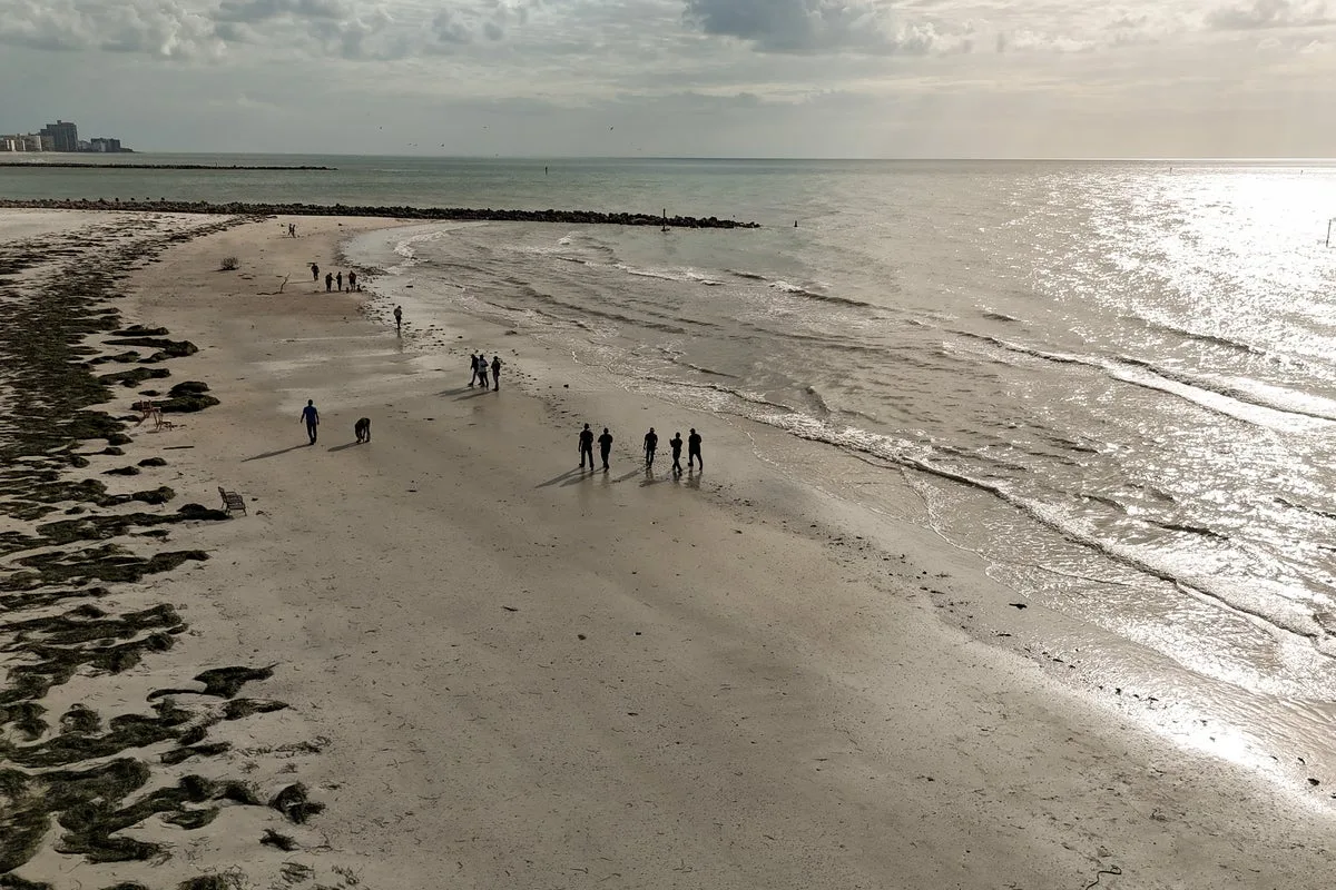 Flesh-Eating Bacteria Cases Rise on UK Beaches, Experts Warn