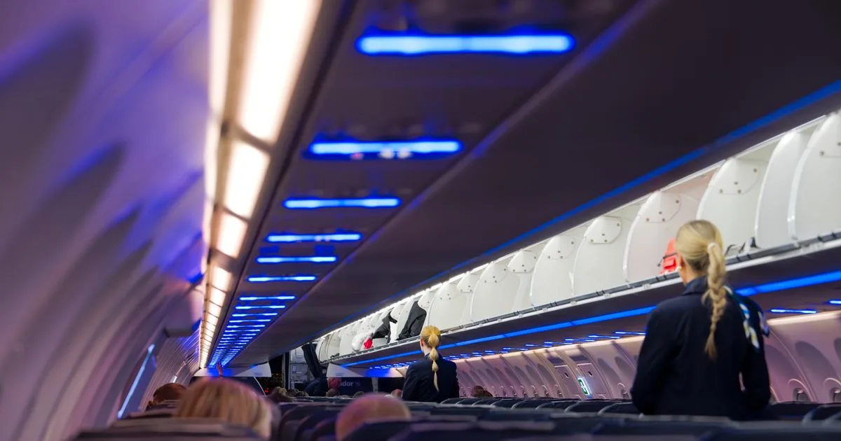 Flight Attendant Reveals Top 5 Passenger Habits She Loves