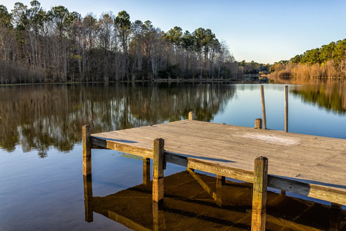 Woman Killed by Flying Umbrella During South Carolina Storm