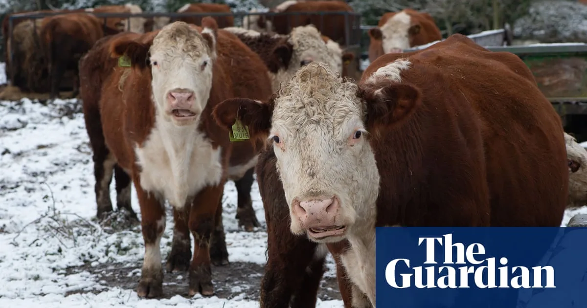 Forest City Plan Threatens UK Food Security