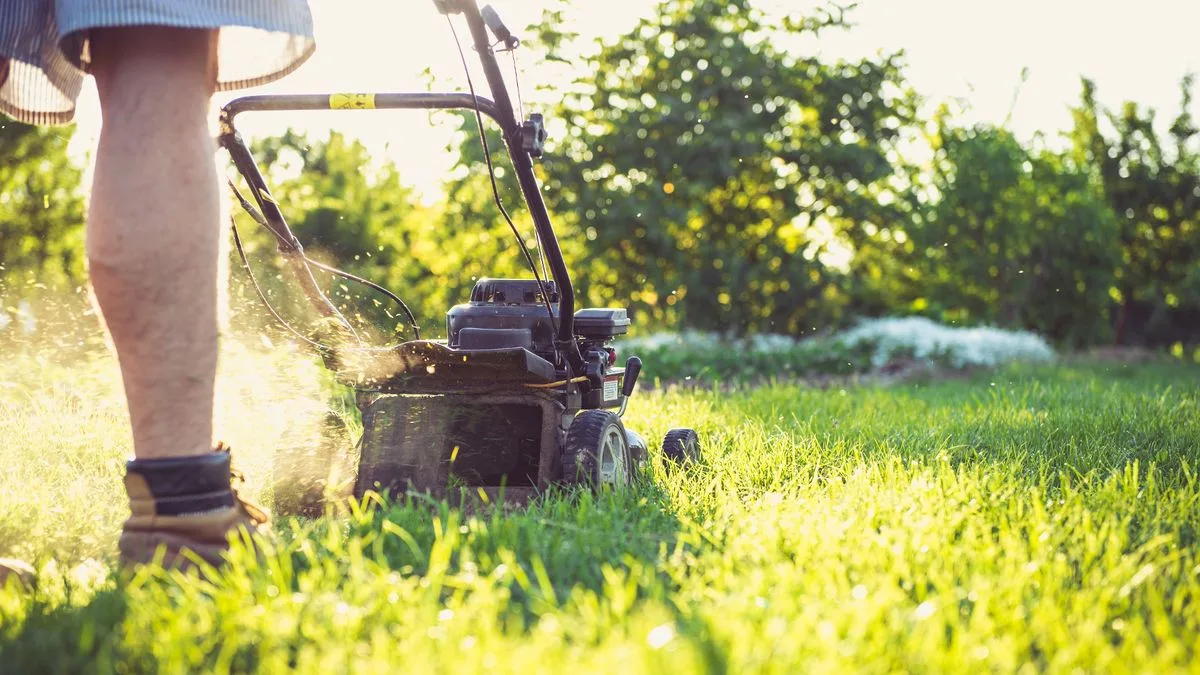 Gardeners Urged to Use Epsom Salts on Lawns for Lush Autumn Growth