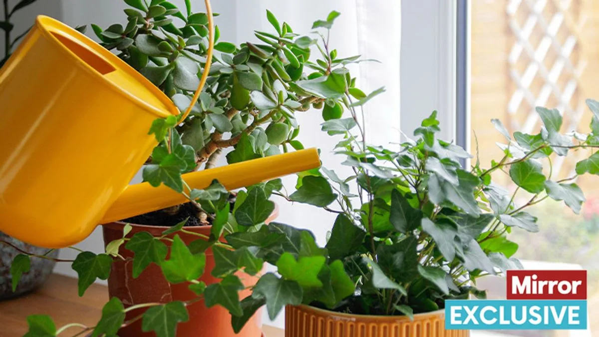 Gardening Experts Urge Immediate Action for Spring Success