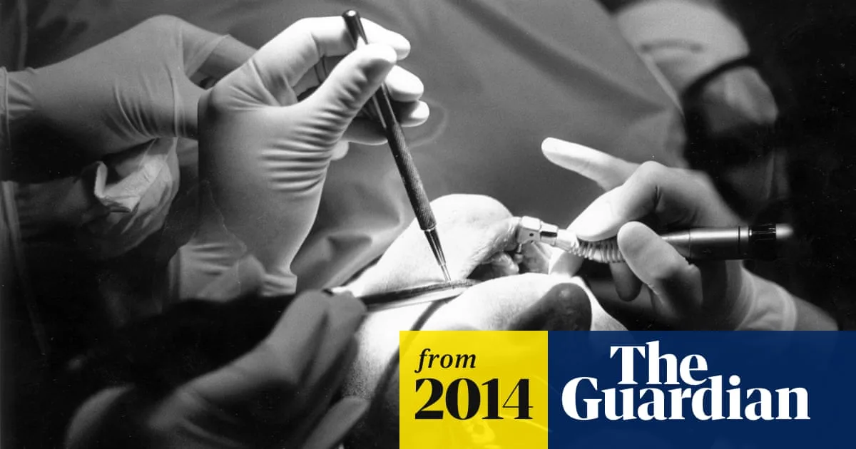 Connecticut Dentist Suspended After Patient Dies During 20-Tooth Extraction