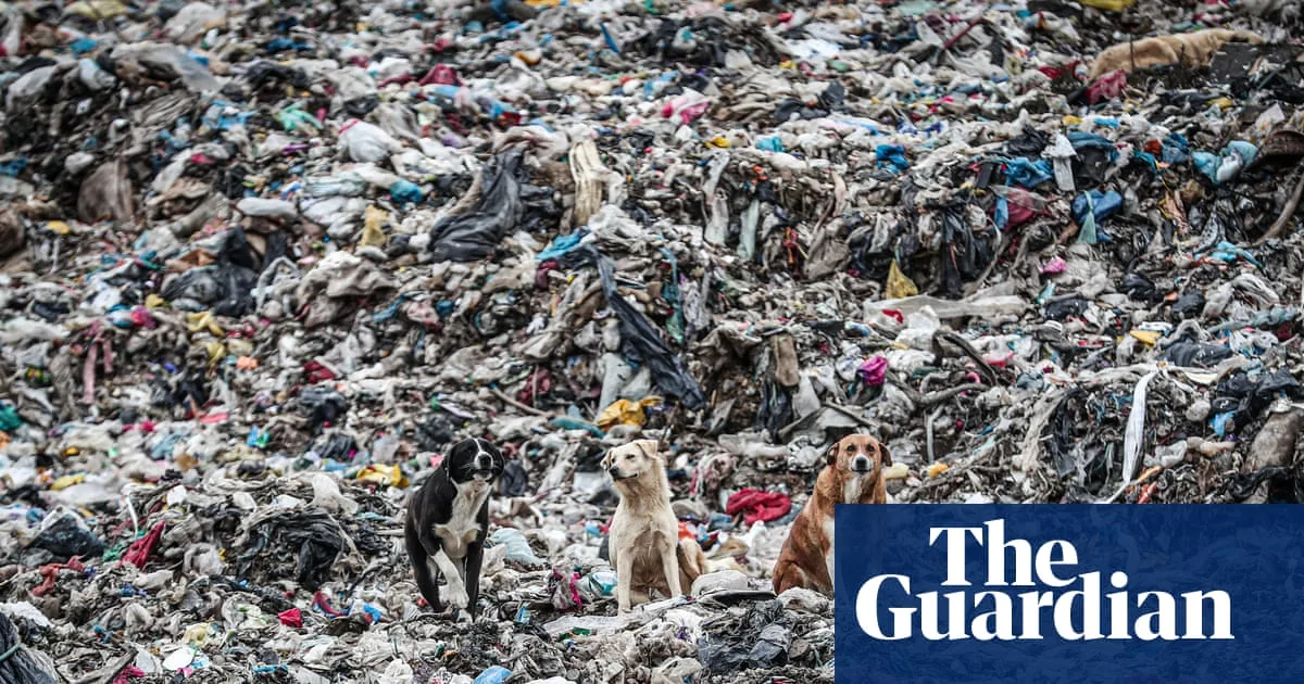 Germany Tops Global Plastic Waste Exports in 2025, UK Second
