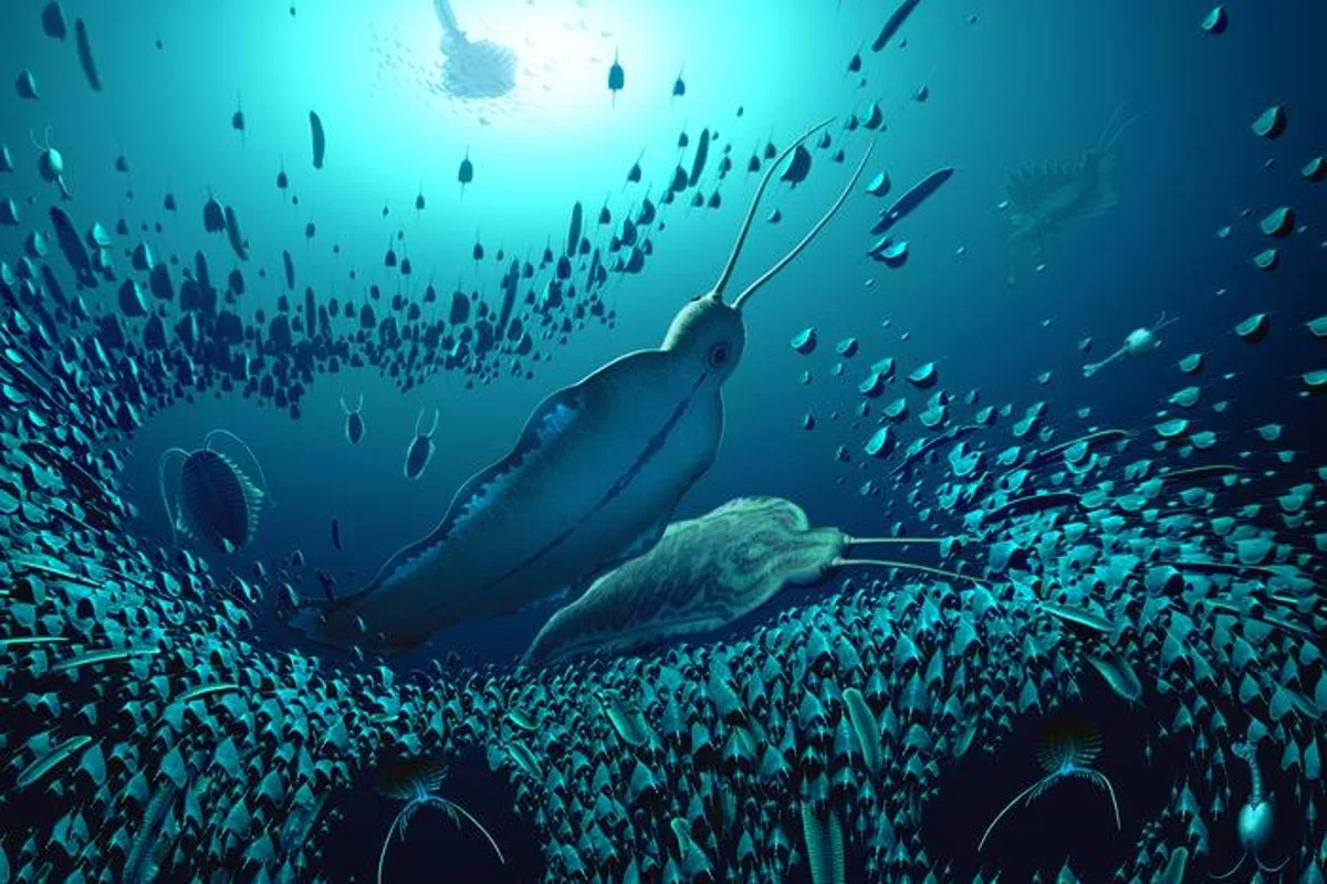 Giant 'Terror Beast' Worm Fossils Discovered in Greenland