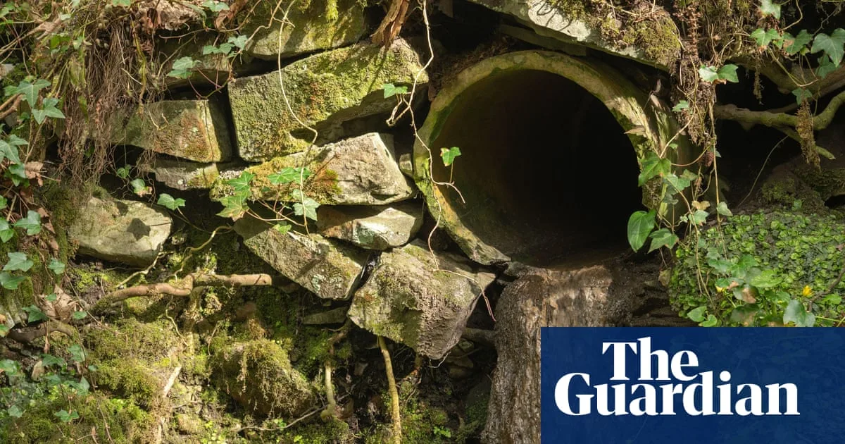 Welsh Water Fined £44.7m for Sewage Failings