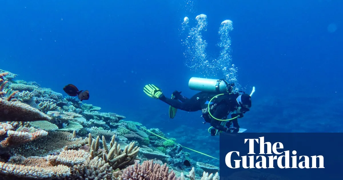 Great Barrier Reef Suffers Worst Coral Loss in Decades