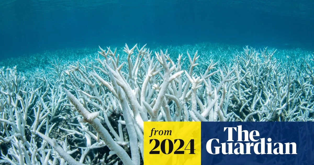 Great Barrier Reef Suffers Worst Bleaching on Record in 2024