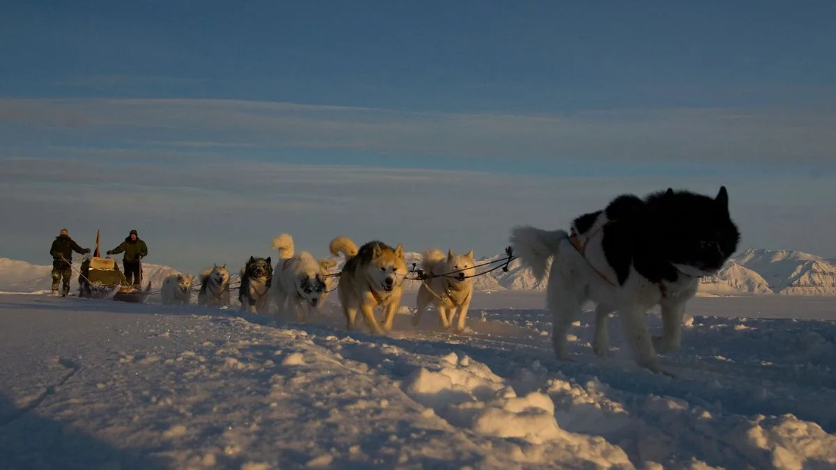 Greenland's Elite Dog Sled Army Guards Arctic Frontier