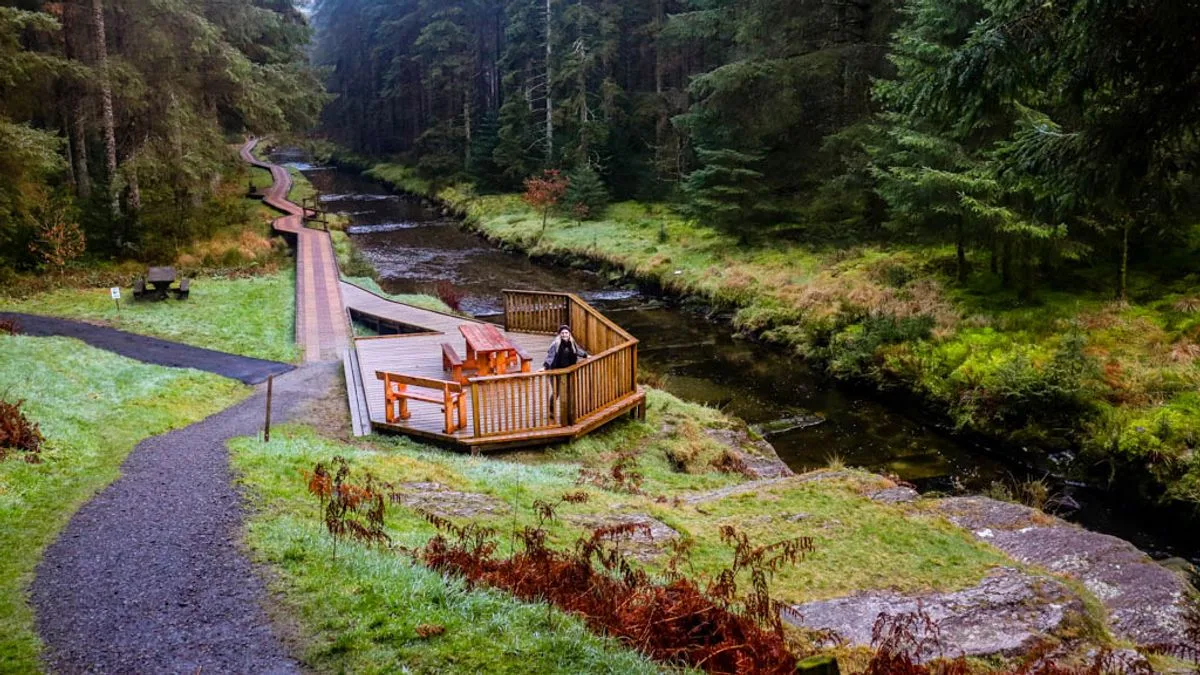 Hafren Forest: Mid Wales’s Best-Kept Secret with Waterfalls and River Source