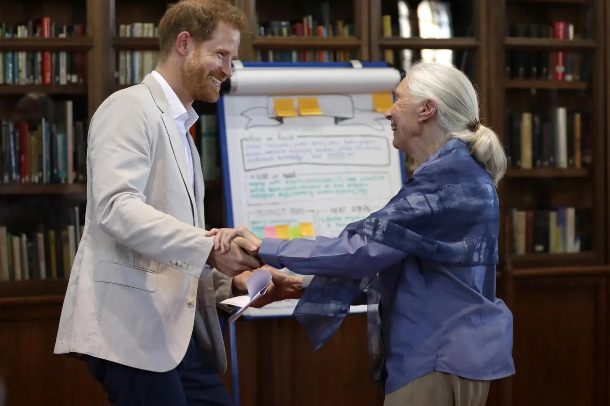 Harry and Meghan Lead Tributes to 'Visionary and Friend' Jane Goodall