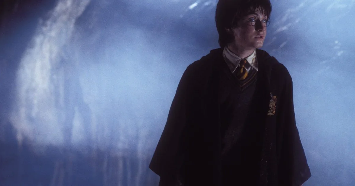 Hogwarts Legacy Chamber of Secrets: Basilisk Rumours and Two Sly Nods
