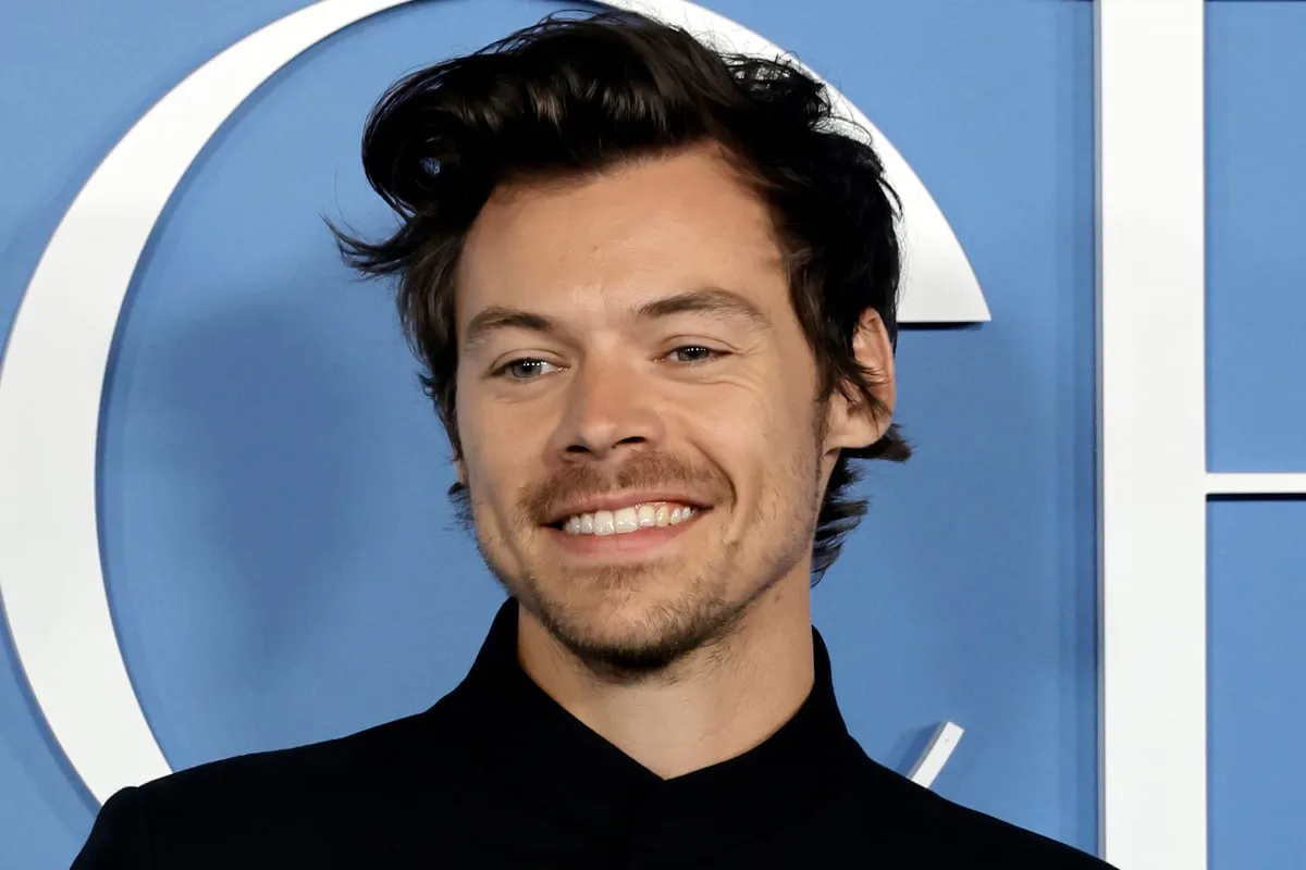 Harry Styles Faces Neighbour Backlash Over £30m Hampstead Mansion Plans