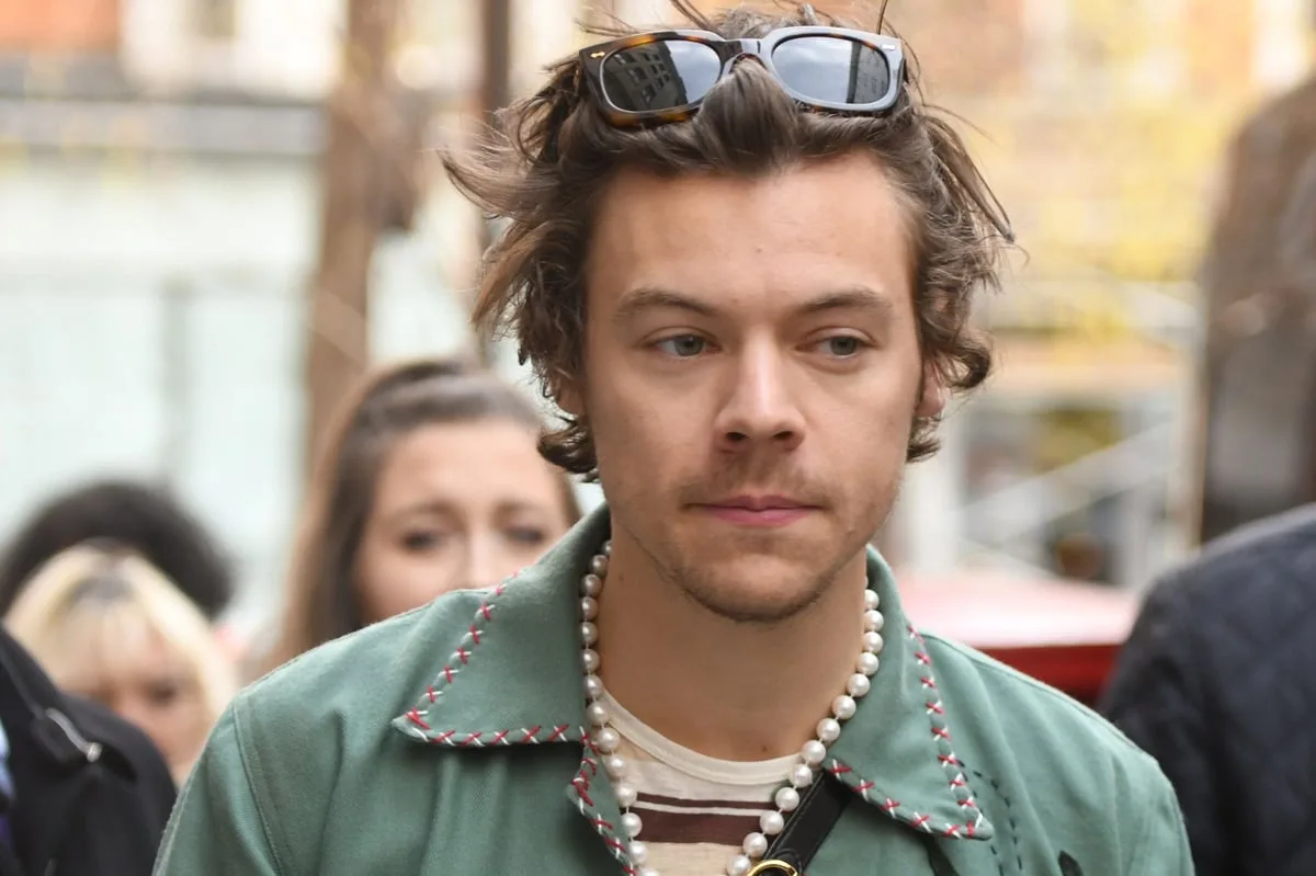 Harry Styles Purchases Fourth Hampstead Home for Mega-Mansion Project