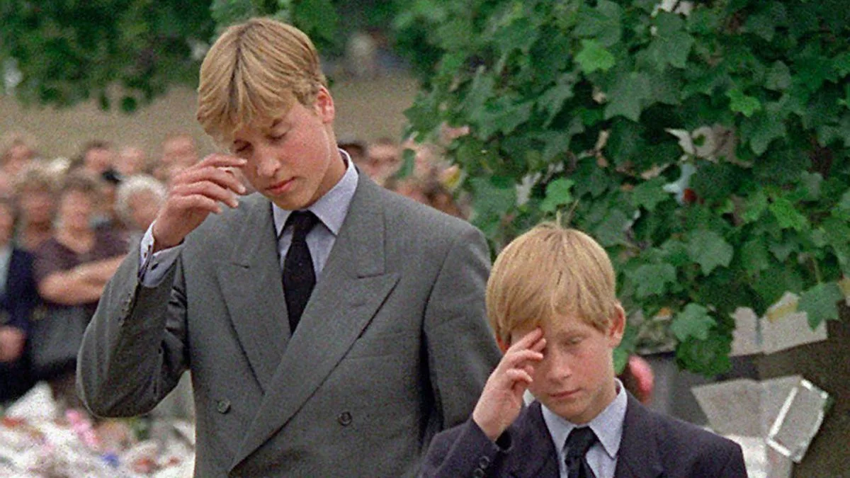 Prince Harry's Heartbreaking Regret Over Final Call With Diana