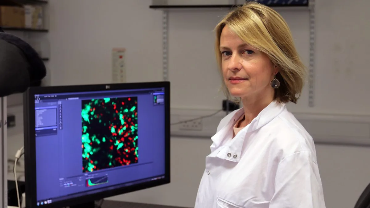 Can You Really Boost Your Immune System?