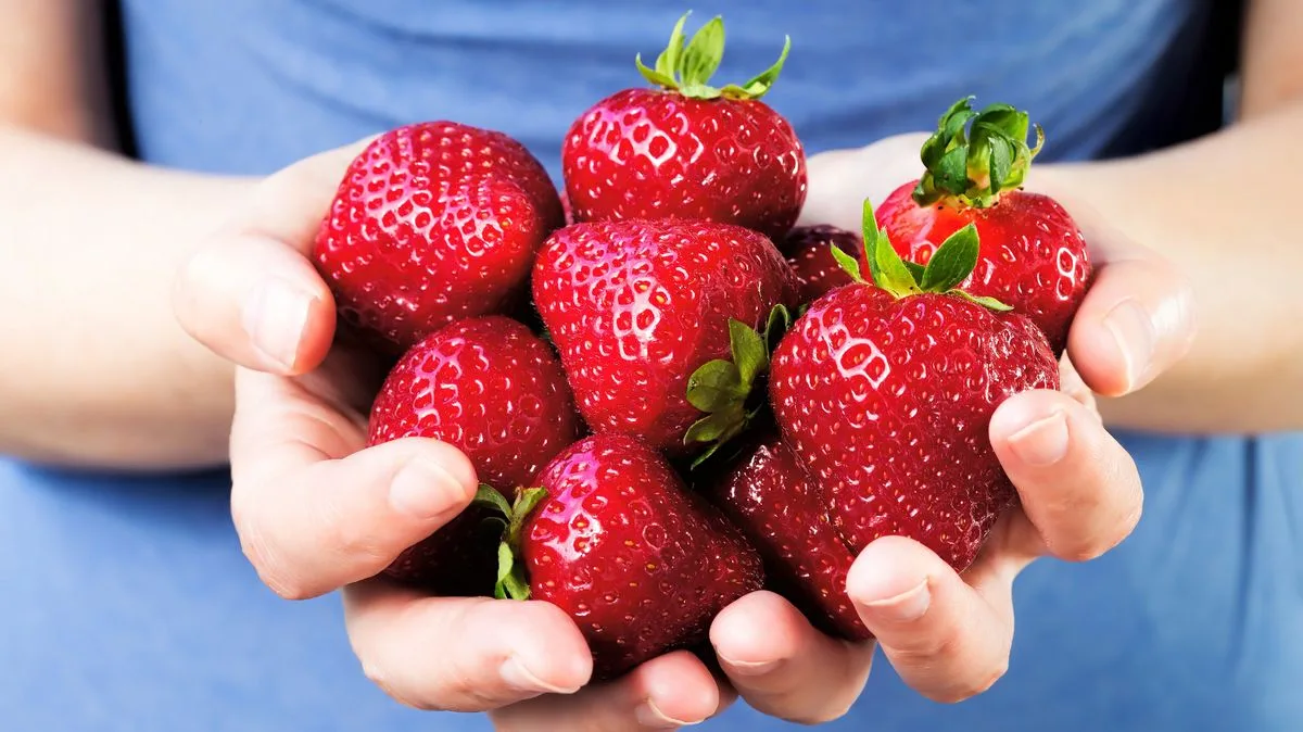 Forever Chemicals Found in 95% of UK Strawberry Samples Spark Health Warning