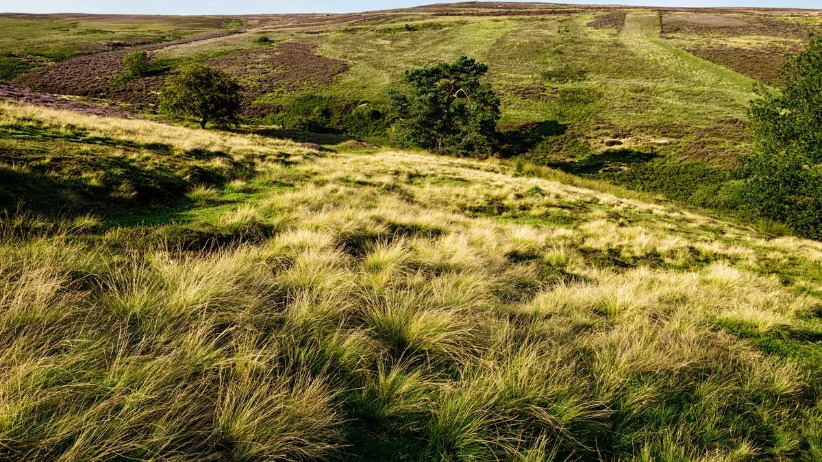 Hidden Yorkshire Village Home to 'Most Atmospheric' Church