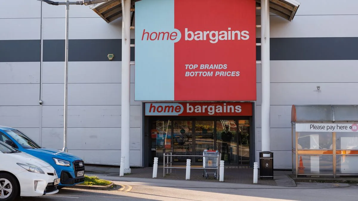Home Bargains £30 Picnic Basket Hailed as 'Bargain of the Century'