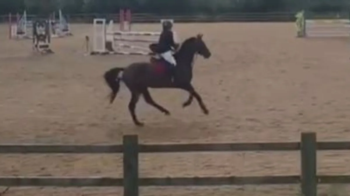 Horse Rider Sarah Yorke Dies In Northamptonshire Event