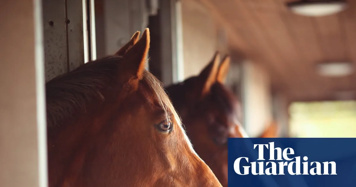 Horses Can Detect Human Fear Through Smell, Study Finds