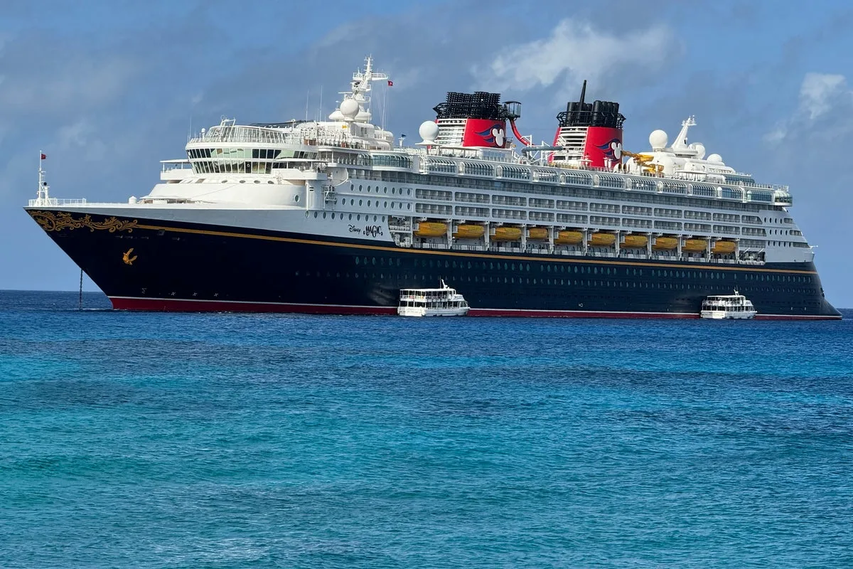 ICE Detains Disney Cruise Staff in San Diego Over Child Pornography