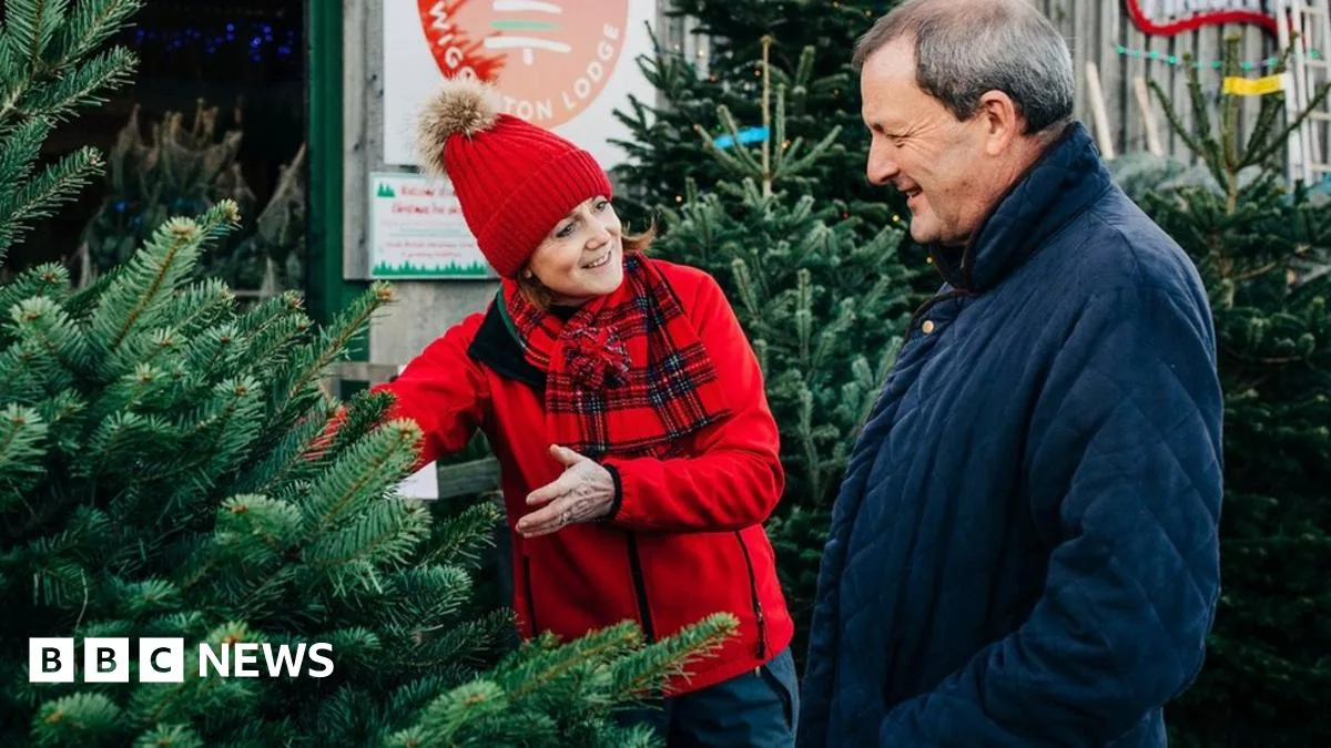 Christmas Tree Sales Soar as Britons Seek Festive Cheer