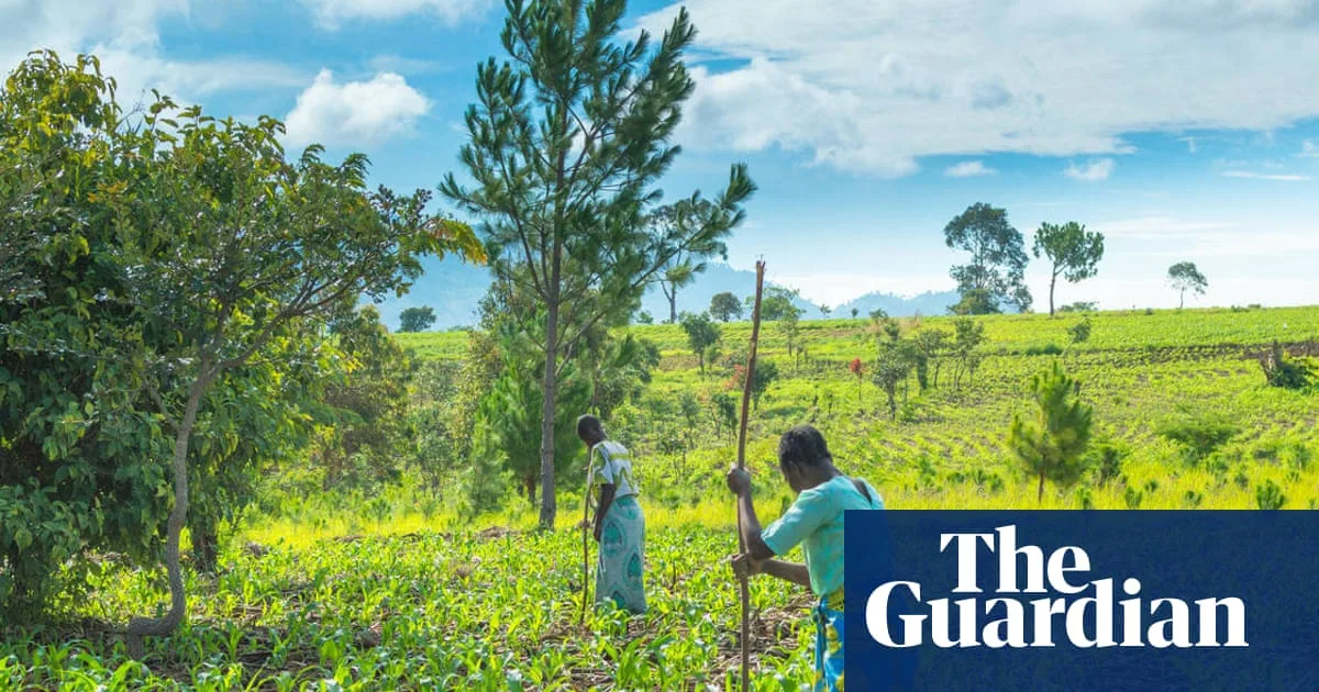 Iran War Risks Food Shortages in Africa, Yara CEO Warns