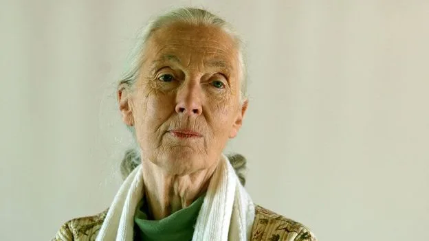 Jane Goodall: The Primatologist Who Redefined Humanity