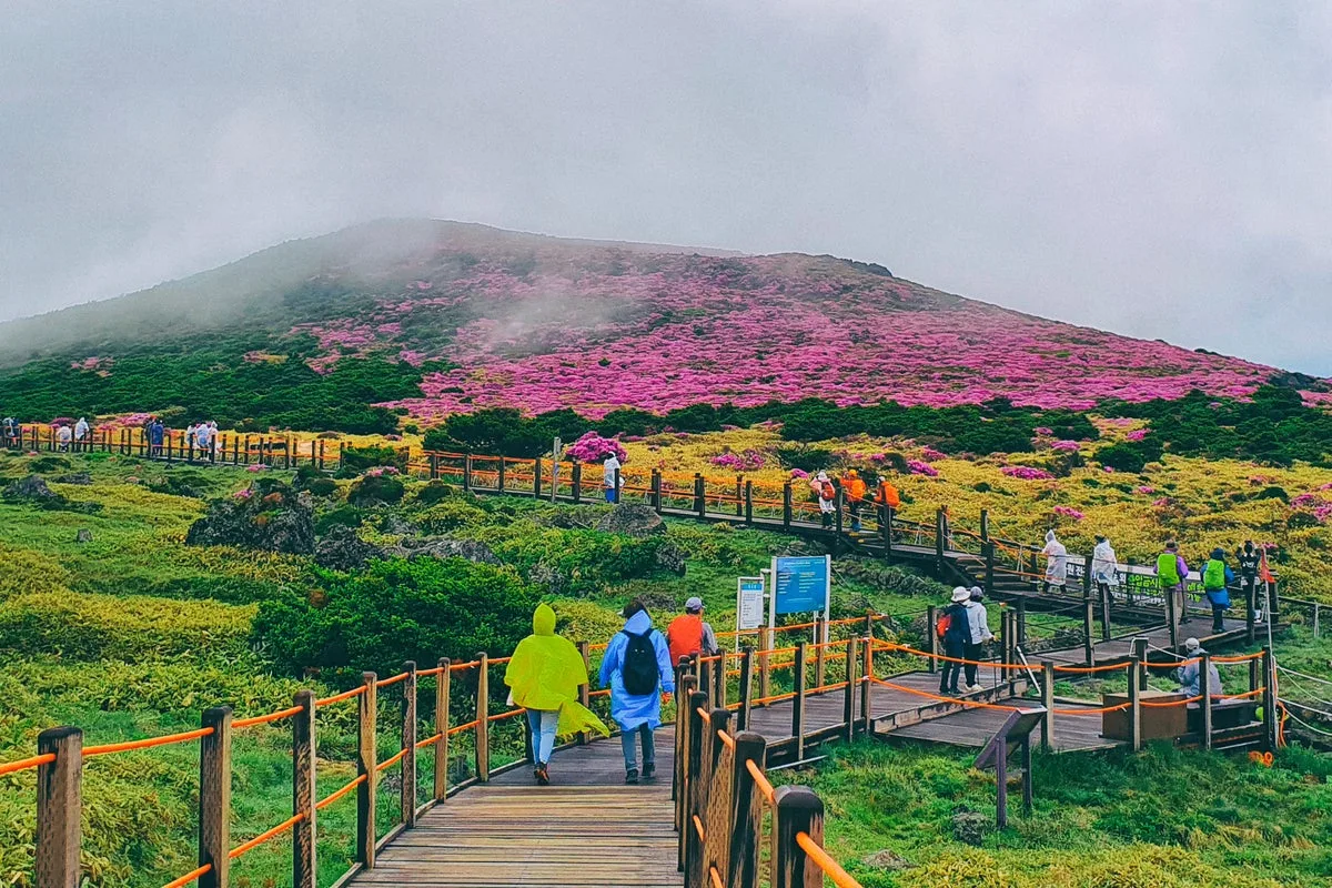 Jeju Island Cracks Down On Tourists With Hiking Ban