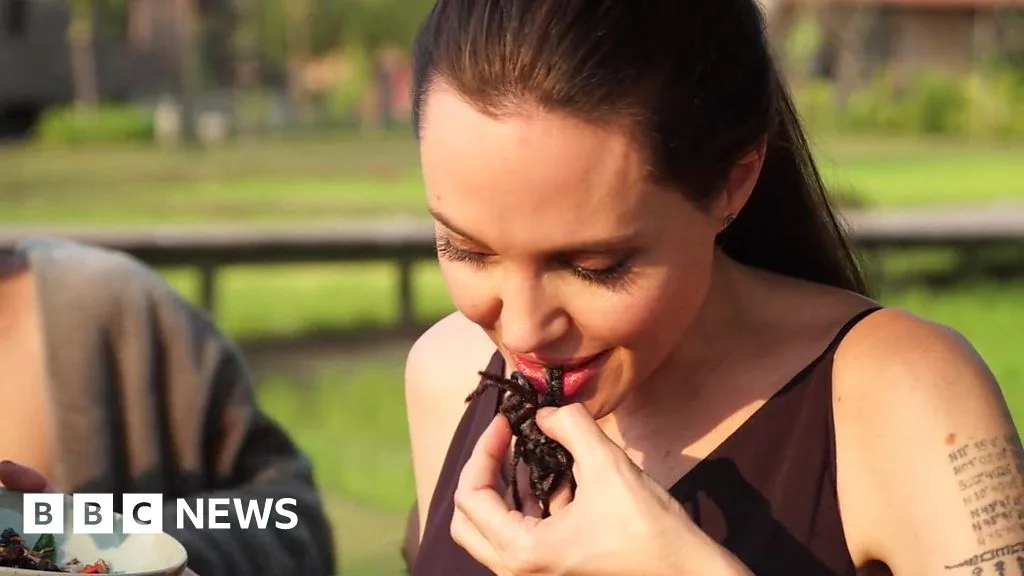 Angelina Jolie's Scorpion Snack Stirs Debate During Cambodian School Trip