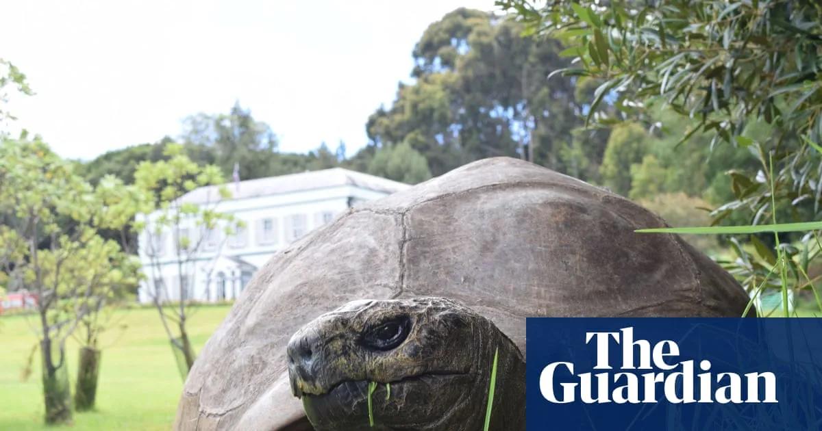 World's Oldest Tortoise Jonathan Alive Despite Crypto Scam Death Hoax