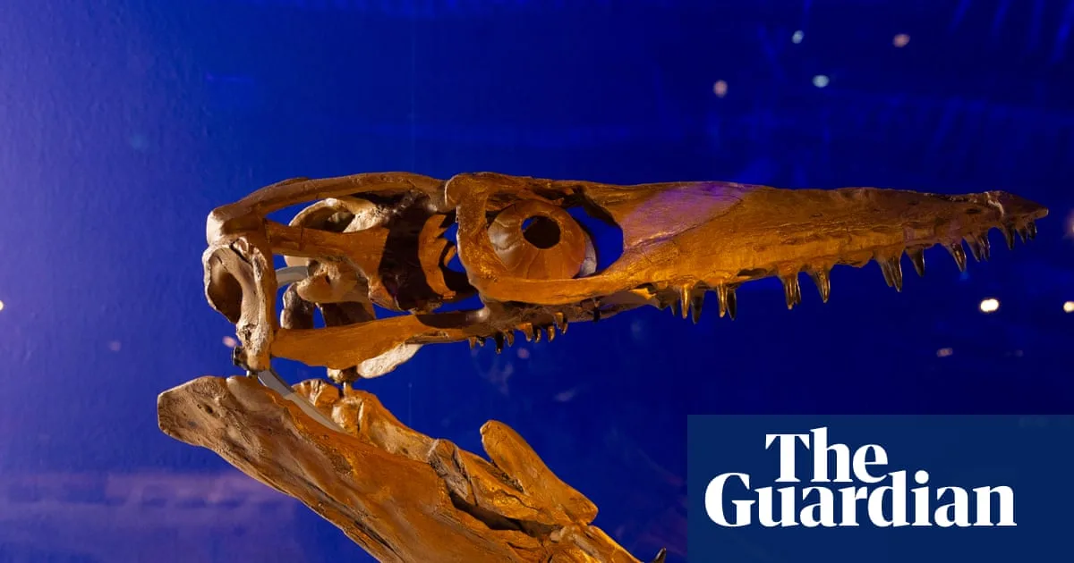 Jurassic Oceans Exhibition Opens At Natural History Museum