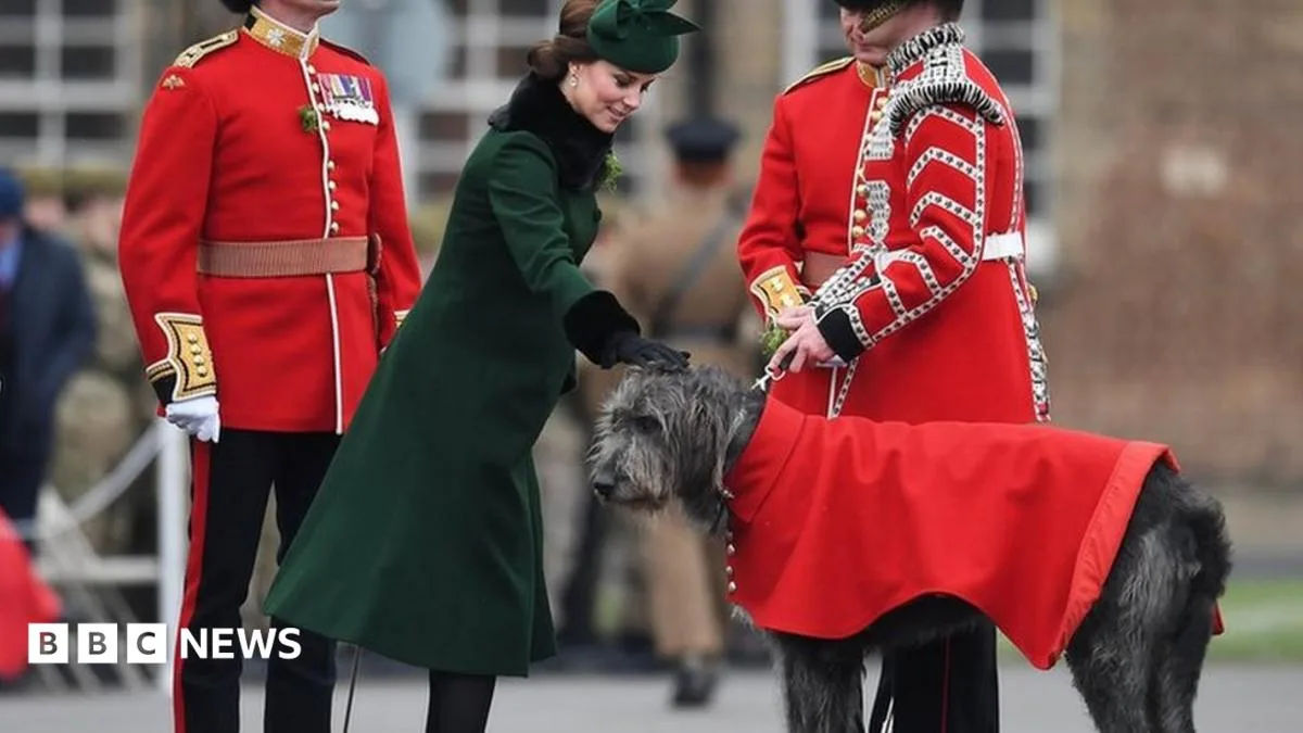 William and Kate Brave Snowy St Patrick's Day Parade