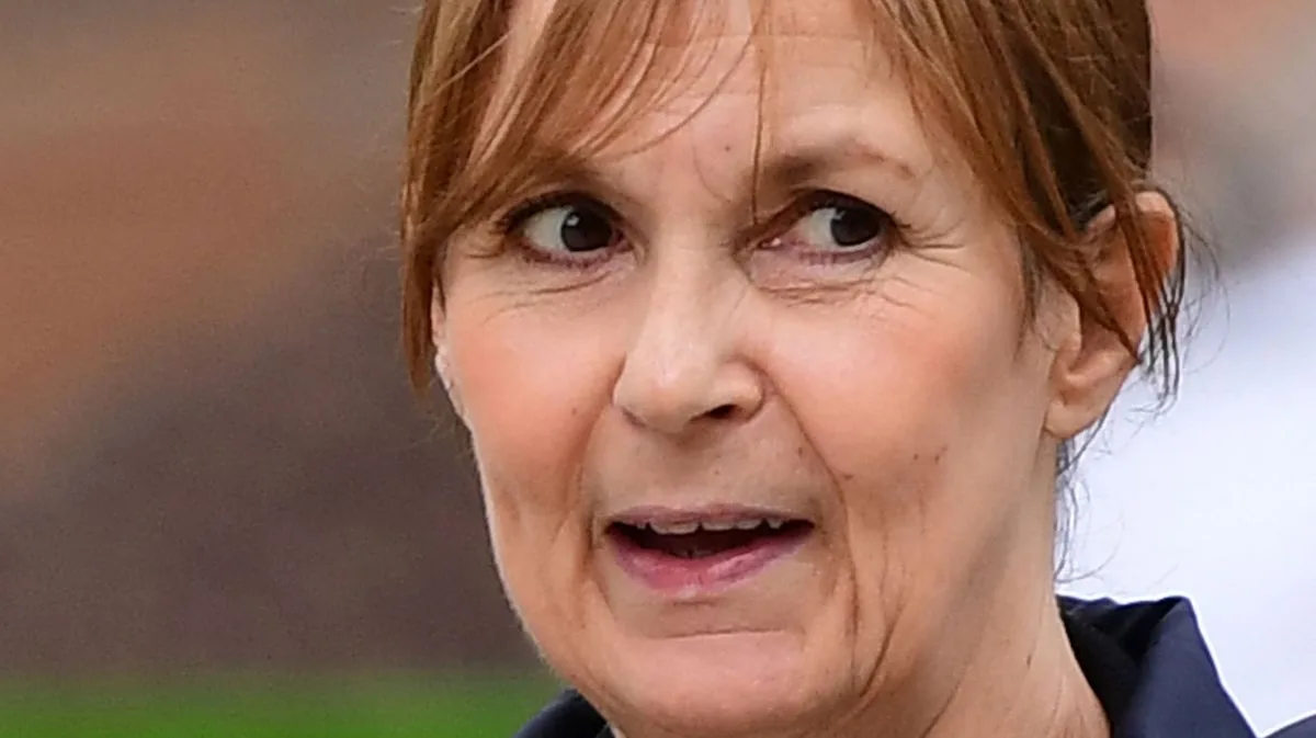 Mother Avoids Jail for Killing Newborn Son and Dumping Body Near Theme Park 25 Years Ago