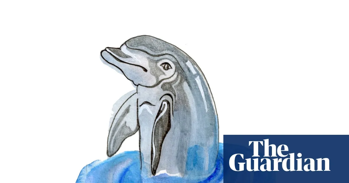 Kids' Quiz: Five Questions to Test Your Knowledge on Dolphins and Clouds