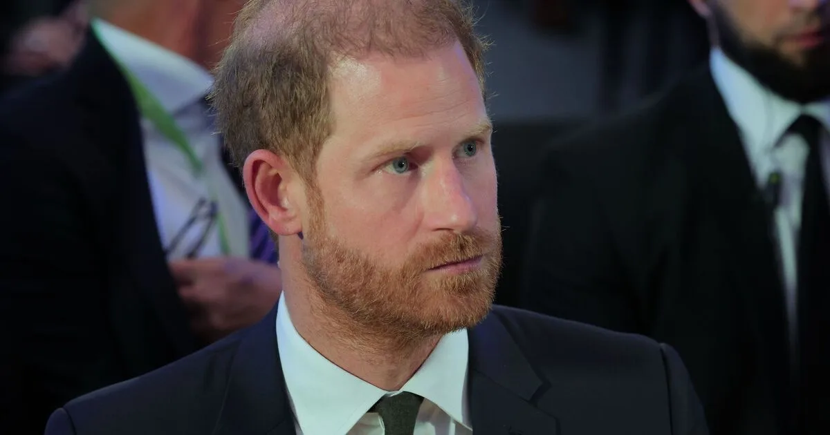 Prince Harry's Reconciliation with William 'Impossible' After Mistakes, Documentary Suggests