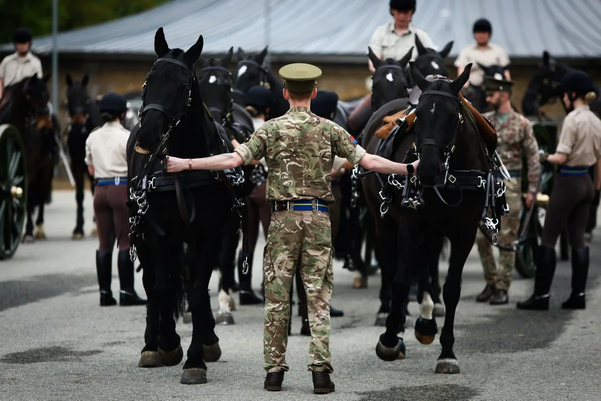 King Charles 'shocked and saddened' by soldier's death at Royal Windsor Horse Show