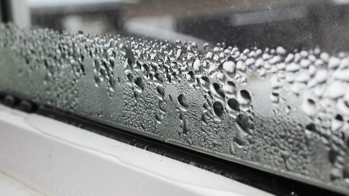 55p Washing-Up Liquid Hack Beats Window Condensation Without Costly Dehumidifier